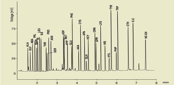 아미노산 표준물질(유도화 후) GC Chromatogram